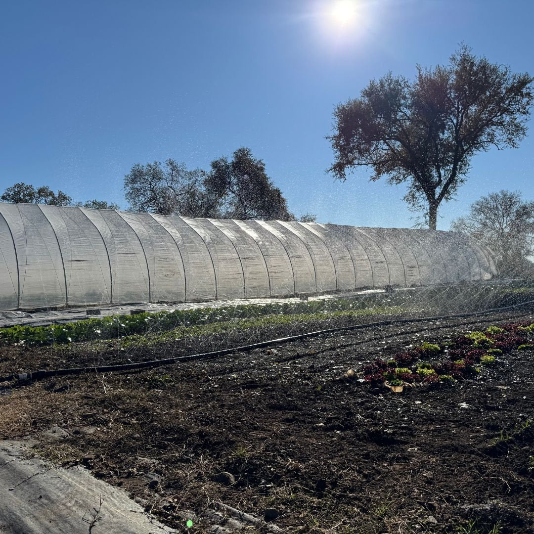 Sumi Soaker R-Wide Kit — Overhead Irrigation System