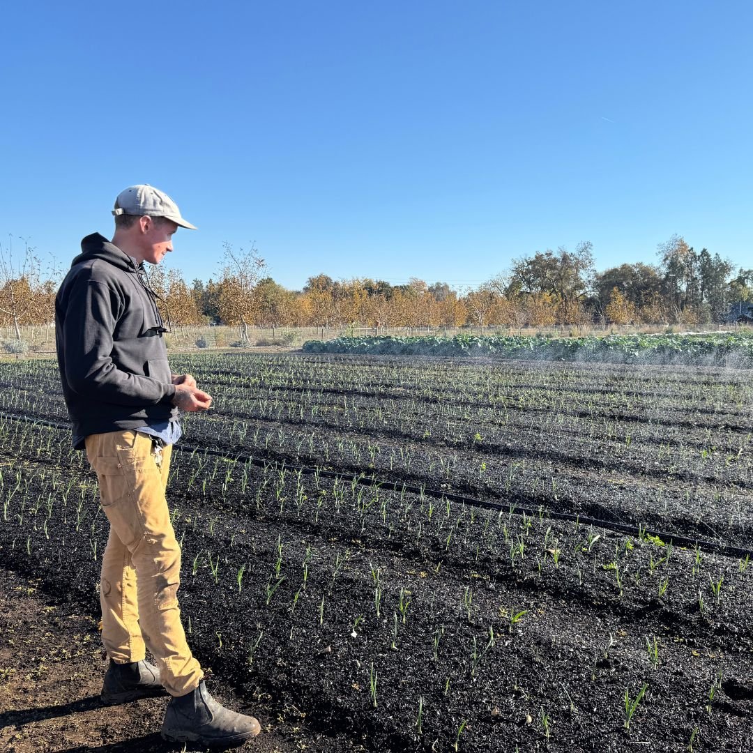 Sumi Soaker R-Wide Kit — Overhead Irrigation System