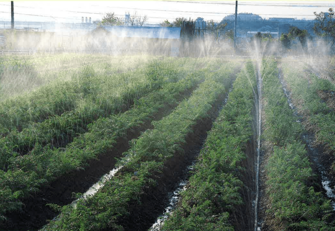 Sumi Soaker Mark II — Overhead Irrigation Tubing
