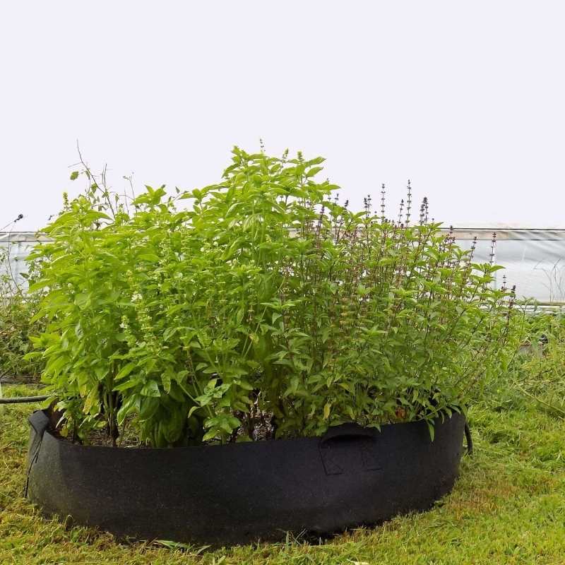 pot plant bags Grow Bags