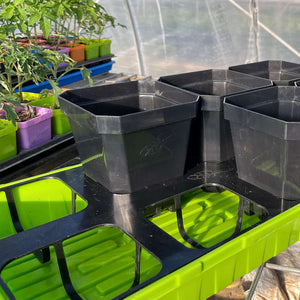Insert Tray for 5" pot