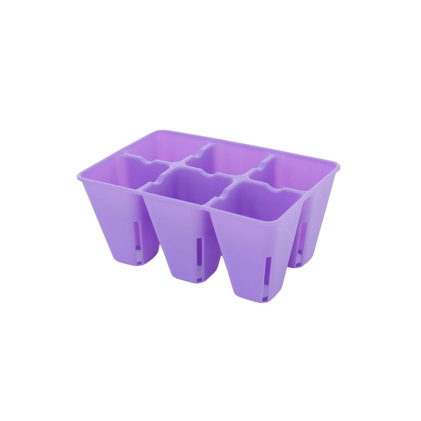 purple 6 cell tray