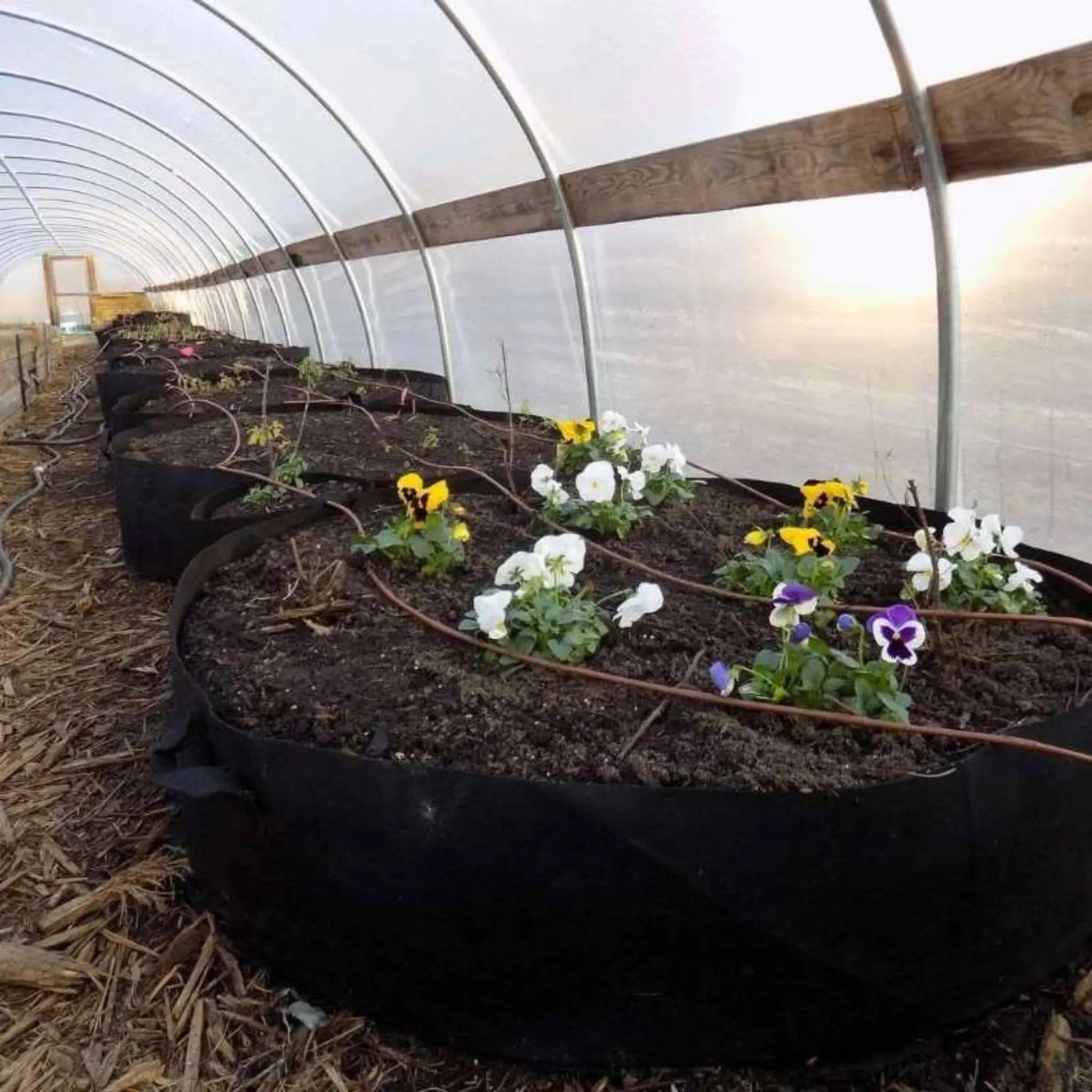 100 gallon plastic planter Grow Bags
