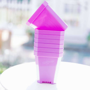 purple 5" pots