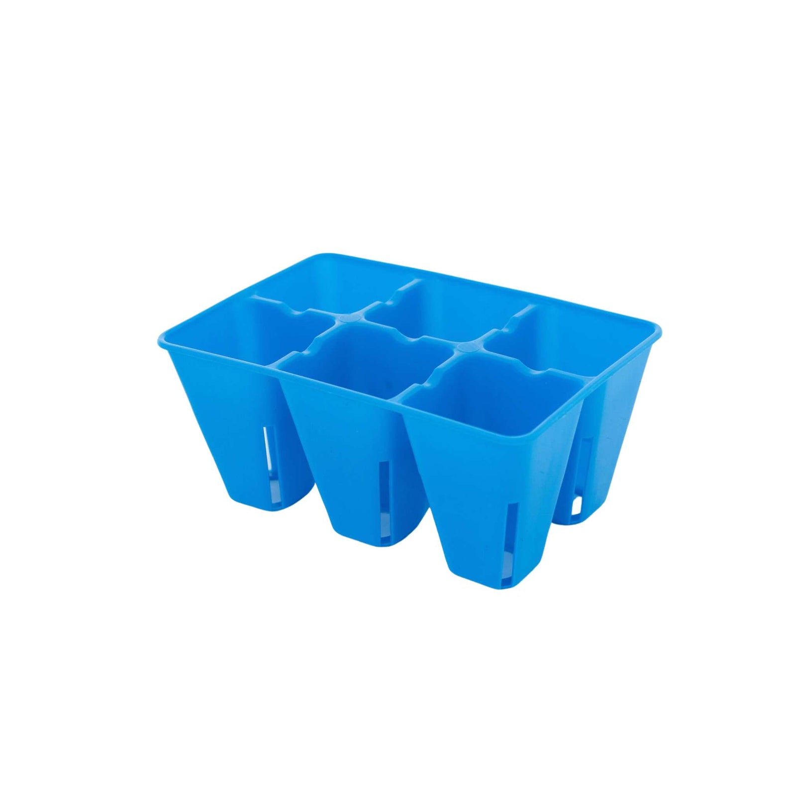 blue 6 cell tray