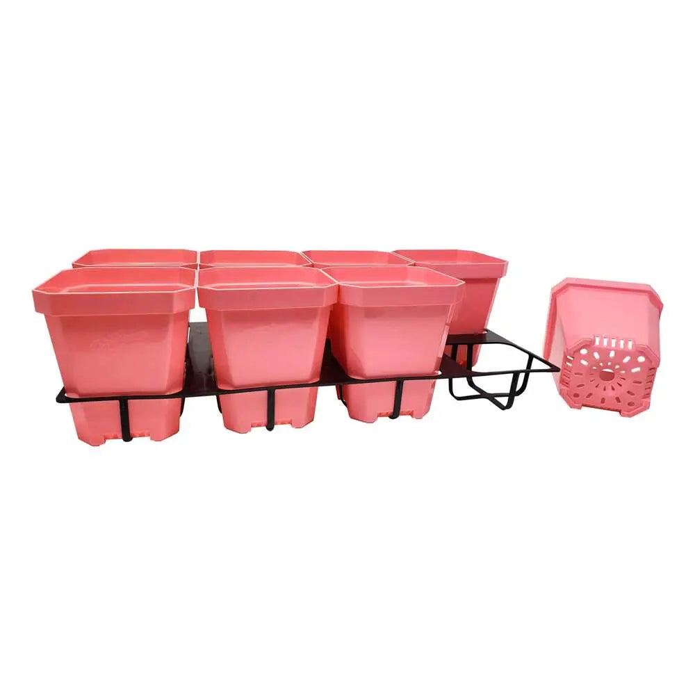 5 inch pots with inserts pink