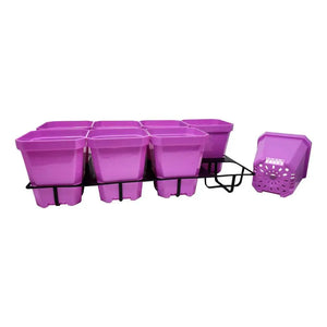 5 inch pots with inserts purple