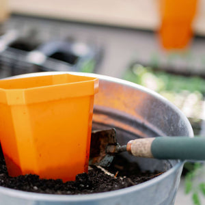 orange 5" pot