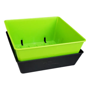5x5 trays