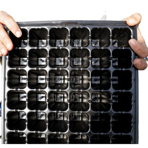 Close up view of 32 cell tray with corresponding plug popper in use.