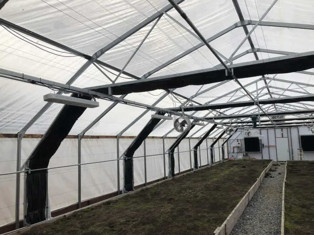 Infrared greenhouse plastic in use