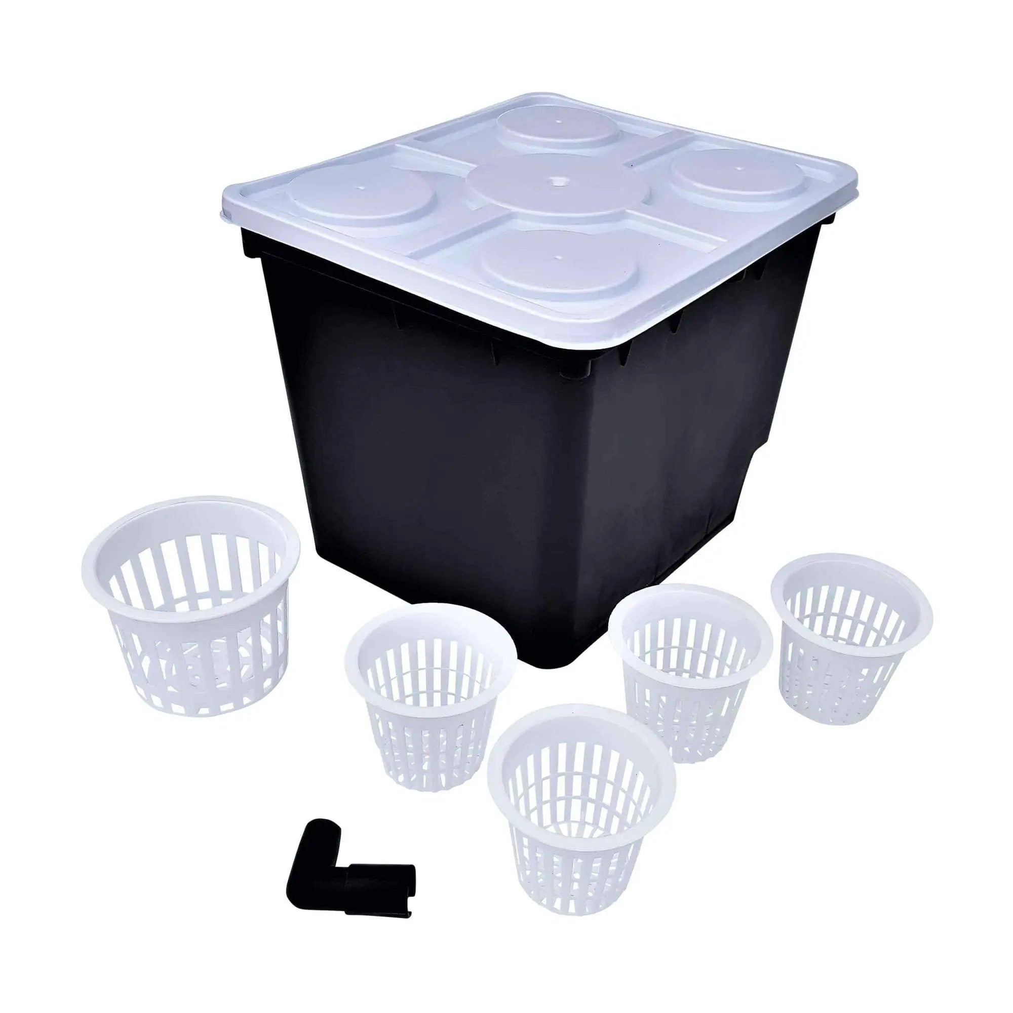 Dutch Bucket | Buy a Bato Bucket for Easy Hydroponic Growing