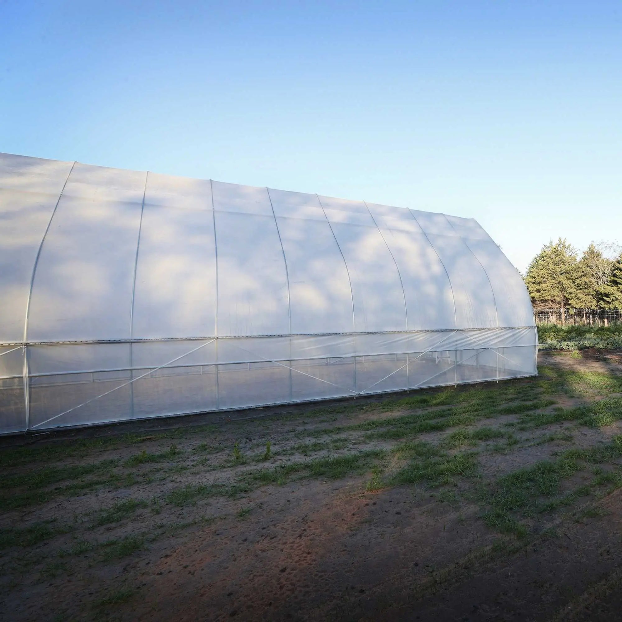 Gothic High Tunnel Greenhouse