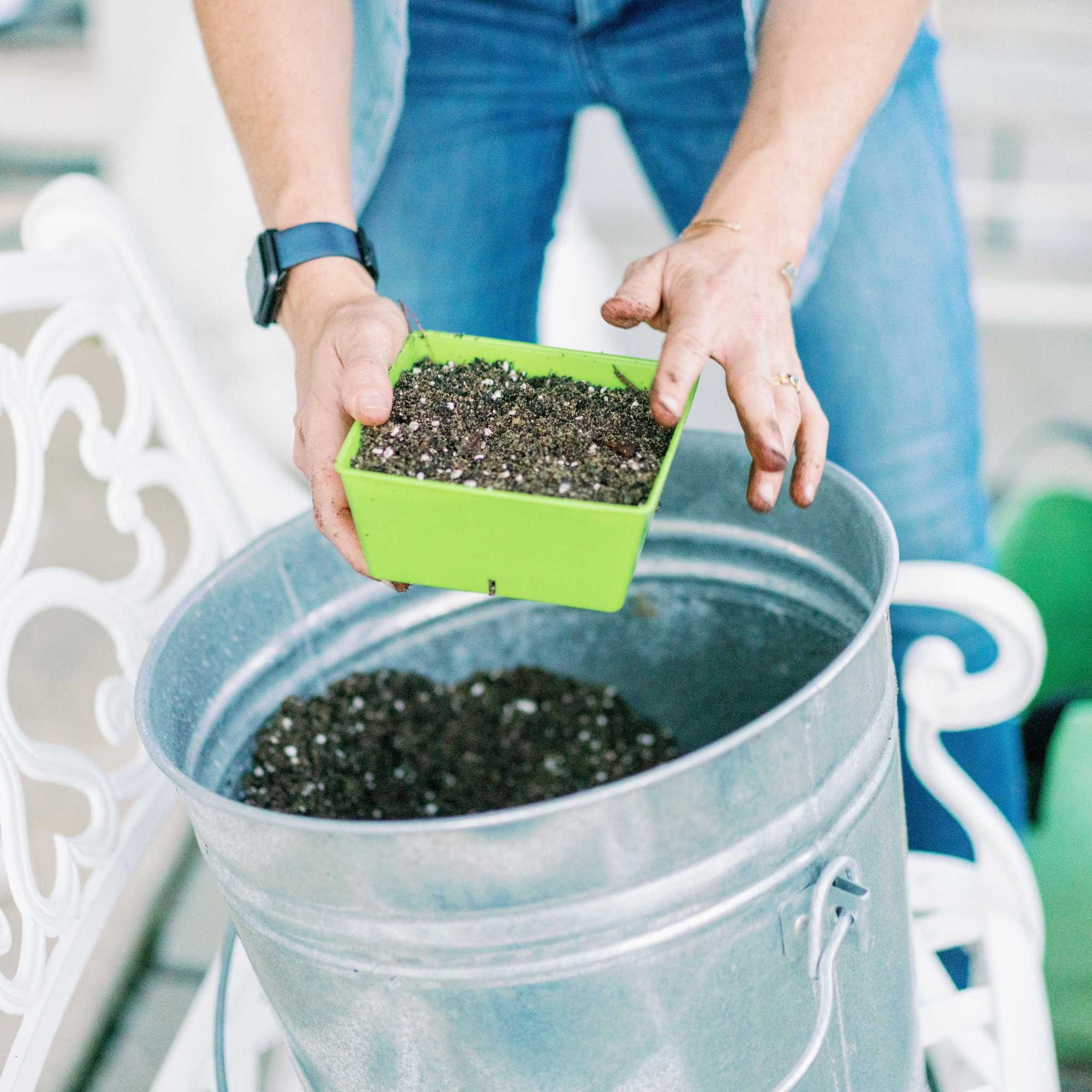 Microgreen Trays - Multi-Color Extra Strength - Bootstrap Farmer