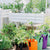 Grow Bags in a garden setting