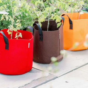 Red, Brown and Orange Grow bags in a row