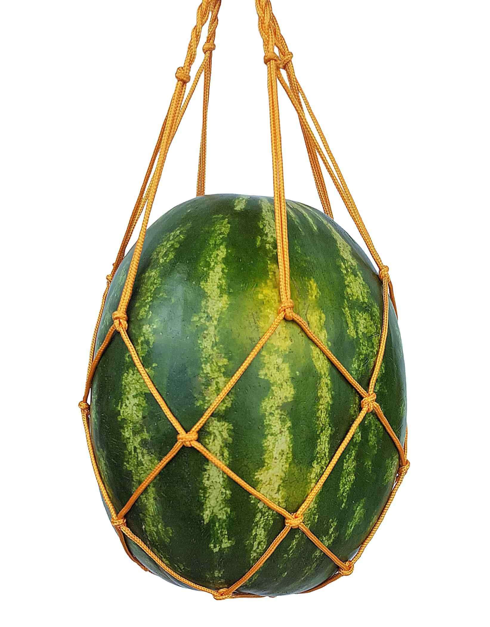 Melon Cradle Large
