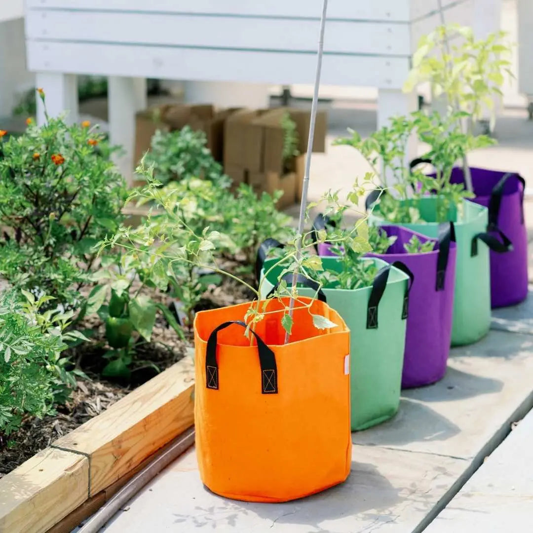 Grow Bags for Growing Indoor and Outdoor Plants Bootstrap Farmer