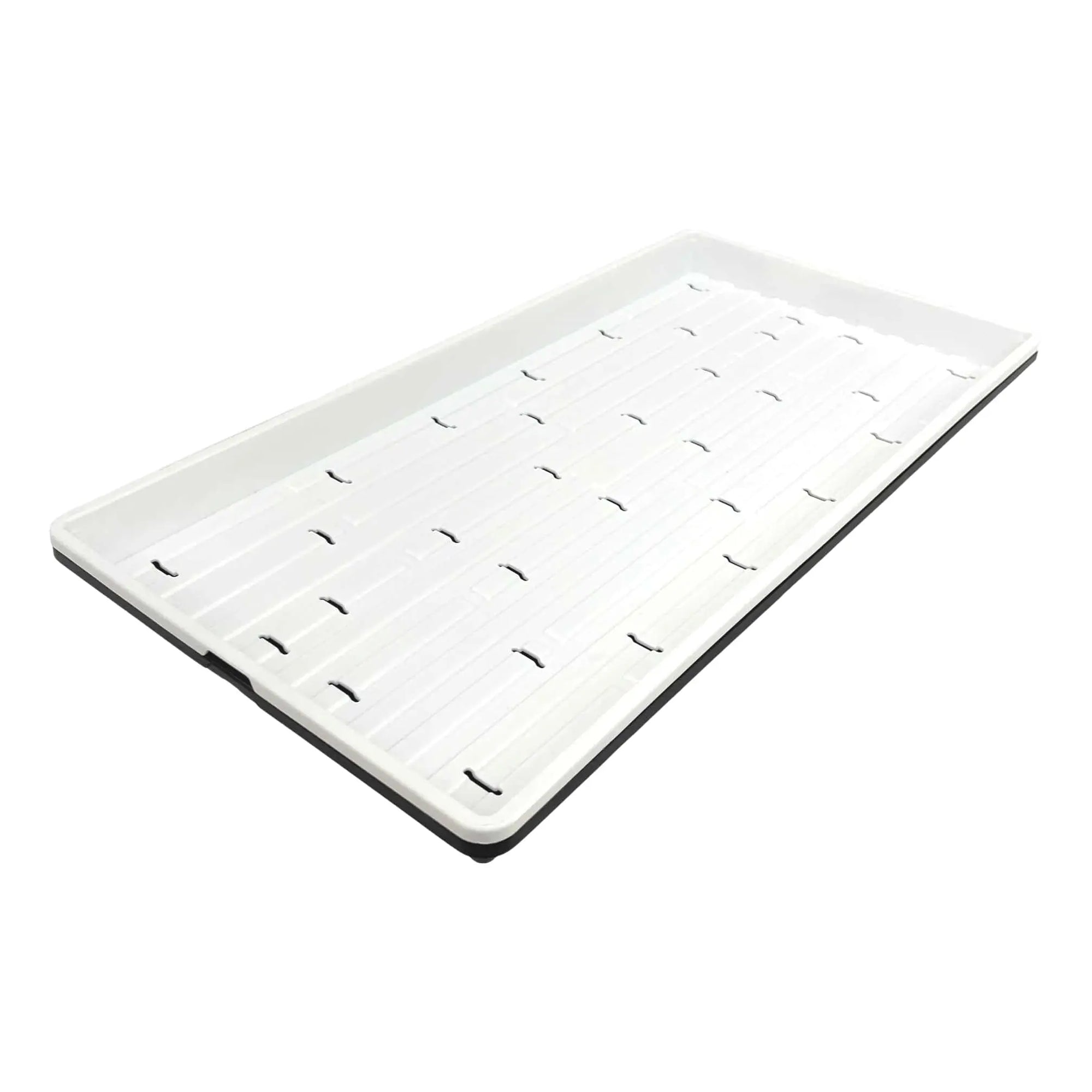 White Microgreen Trays