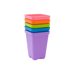 Multicolor 2.5 pots