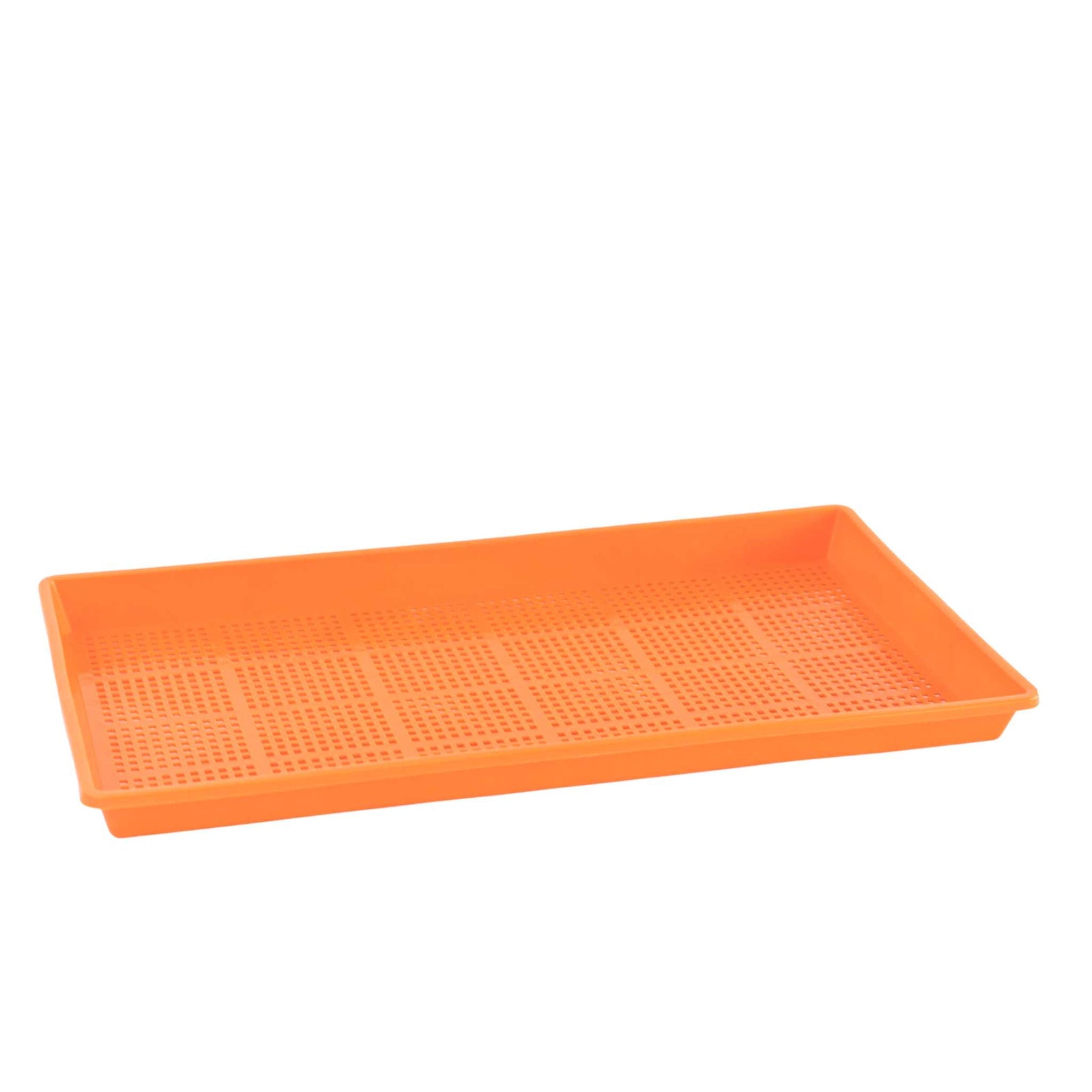 Orange Shallow Mesh