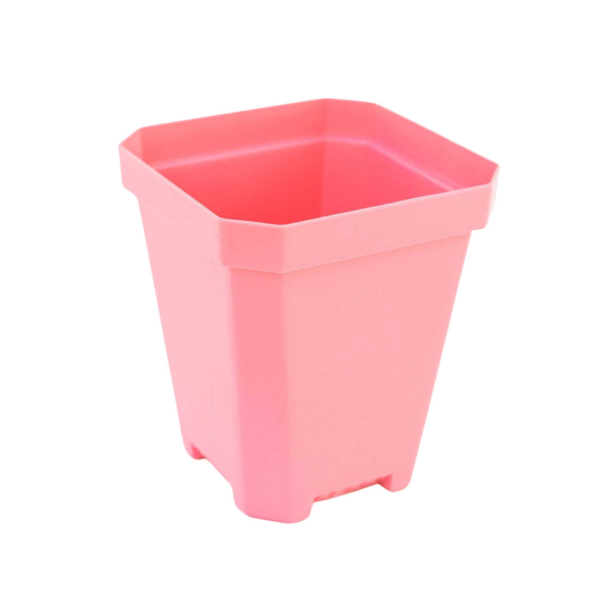 5" pot pink