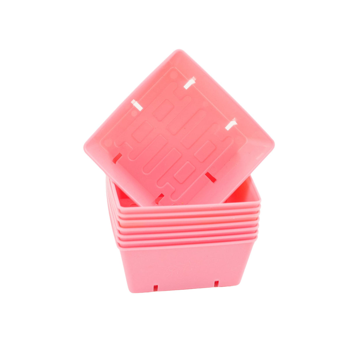 pink 5x5 deep