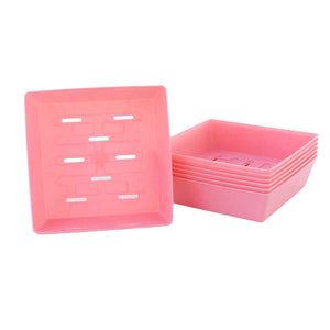 Pink Shallow 5x5