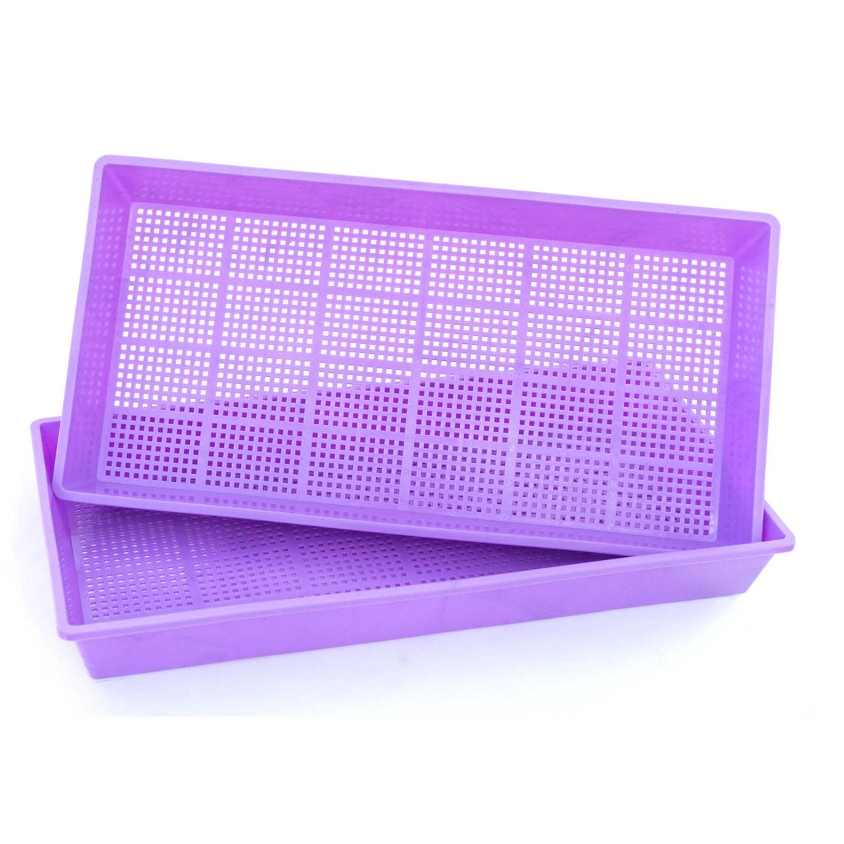 Purple 2.5 Mesh