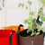 Red, Orange and Brown grow bags with shovel