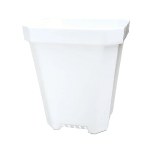 5in Seedling Pot White
