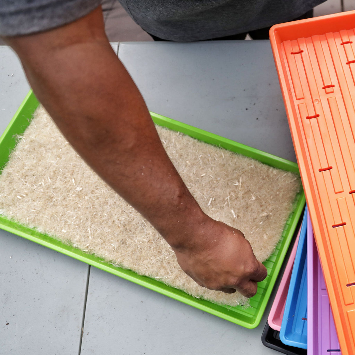 Hemp Fiber Grow Mat in Microgreen Tray