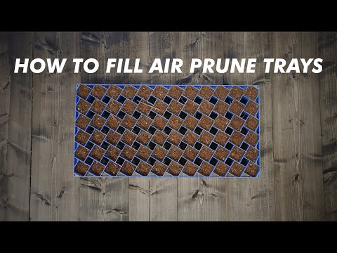 Air Prune Propagation Tray - 72 Cell