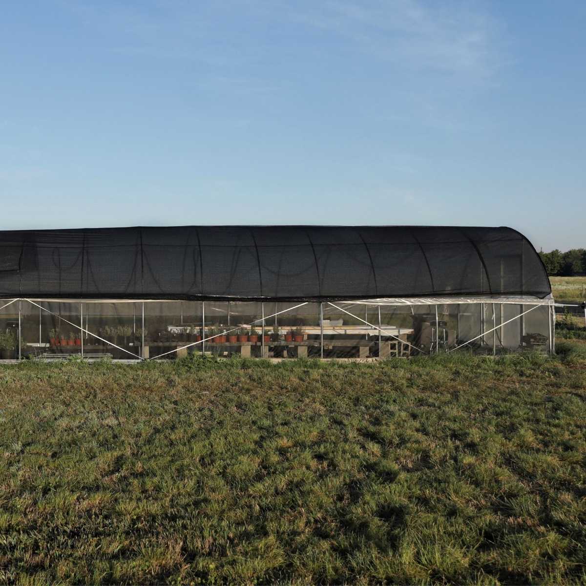 shade cloth on hoop house