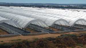hoop houses with woven poly covering